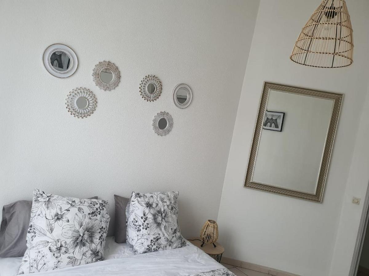Appart Lumineux Carcassonne Centre Ville エクステリア 写真